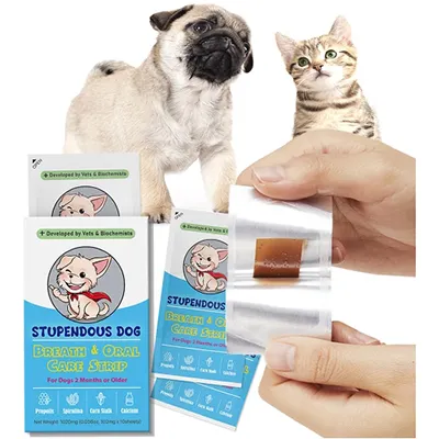 Máquina de recubrimiento de película fina oral para nutrición de mascotas